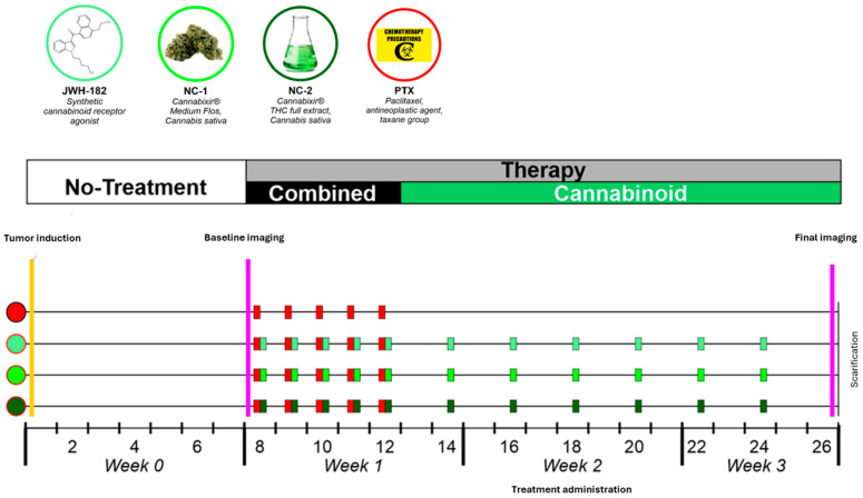 Summary of the study design.