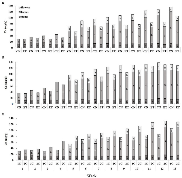 Distribution of calcium among the organs of medical cannabis plants as affected by amino acid (AA) supplementation and nutrient cycle. Ca concentration in control (CN) and enhanced treatment (ET) plants with AAs nutritional supplement in recirculation (1C) growing cycle (A), in drain-to-waste (2C) growing cycle (B), ETs in 1C and 2C (C) in stems, leaves, and flowers. Data are means ± SE (n = 3). The different small letters inside the bars represent significant differences within the plant organs (stems, leaves, and flowers) between the variants in a particular week according to Tukey’s HSD test at α = 0.05.