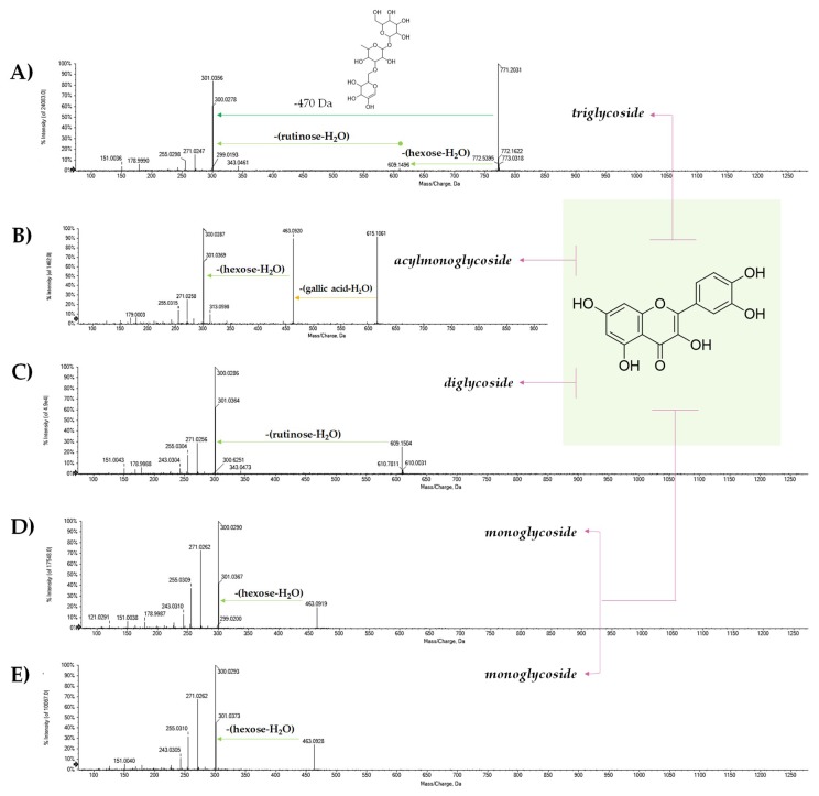 TOF-MS/MS spectra of [M − H]− ion of quercetin glycosides (A) 24, (B) 25, (C) 27, (D) 28, and (E) 30.