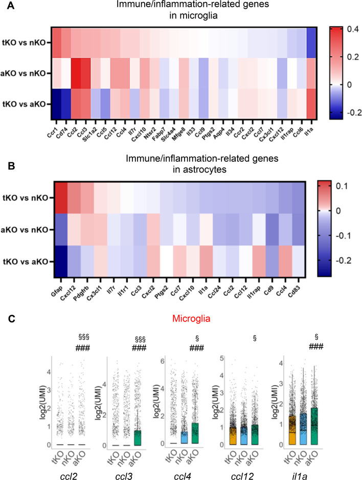 Comparison of differentially expressed immune/inflammation-related genes between tKO, nKO, and aKO mice. A, B Differentially expressed immune/inflammation-related genes in microglia and astrocytes between different genotypes. C Representative immune/inflammatory genes in microglia from different MAGL KO mice. ###P < 0.001 compared with tKO; §P < 0.05, §§§P < 0.001 compared with nKO