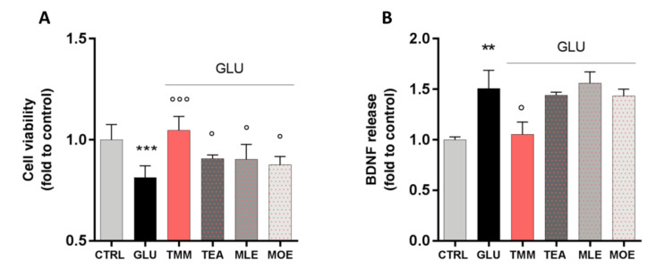Neuroprotective effect induced by TMM in L-glutamate (GLU)-stimulated SH-SY5Y cells compared to TEA, MLE, and MOE (A). Modulation of brain-derived neurotrophic factor (BDNF) release after GLU stimulation by TMM, TEA, MLE, and MOE (B). *** p < 0.001, ** p < 0.01 vs. CTRL; °°° p < 0.001, ° p < 0.05 vs. GLU.