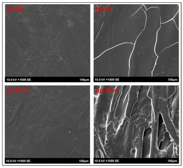 Surface analysis using SEM for the reference sample and AC NPs loaded composites.