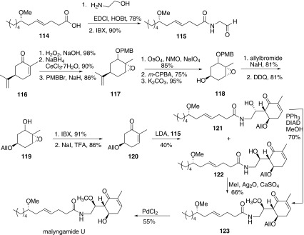 Synthesis of malyngamide U reported by Cao [62]