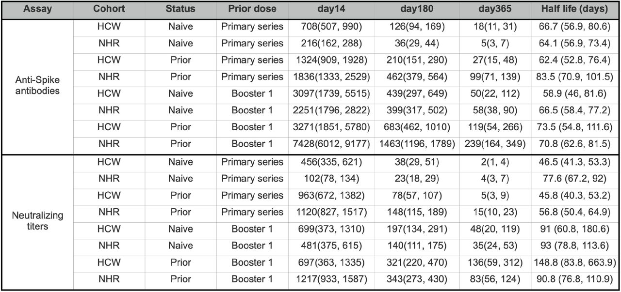 Model-estimated half-lives (days after peak) and titers at days 14, 180, and 365 following vaccine for HCW and NHR following 2 booster doses.Wuhan strain for anti-Spike antibodies and neutralizing titers; 95% confidence intervals presented for all estimated values. Note: NHR values here are also presented in Table 2, repeated here for comparison to HCW.