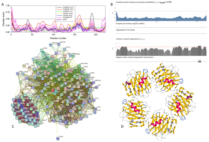 Structural and functional characterization of human SAP (UniProt ID: P02743). (A) Intrinsic disorder profile generated by RIDAO. (B) FuzDrop output. (C) SAP-centered PPI network generated by STRING. This network was generated using the custom confidence value of 0.400 for the minimum required interaction score. (D) X-ray crystal structure of the pentameric human serum amyloid P-component (PDB ID: 4AVS).