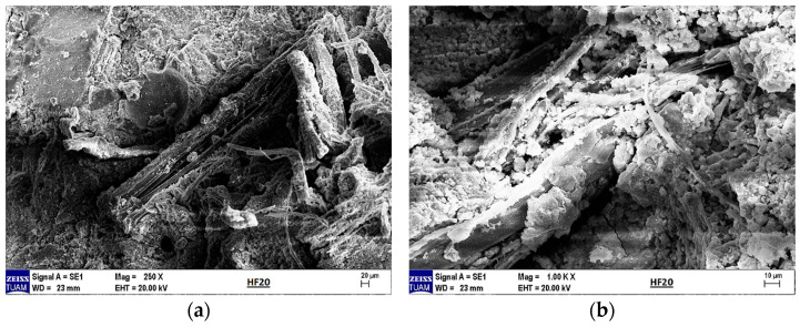 (a) SEM image of 20% hemp fiber-reinforced geopolymer mortar at 250× magnification and (b) at 1000× magnification.