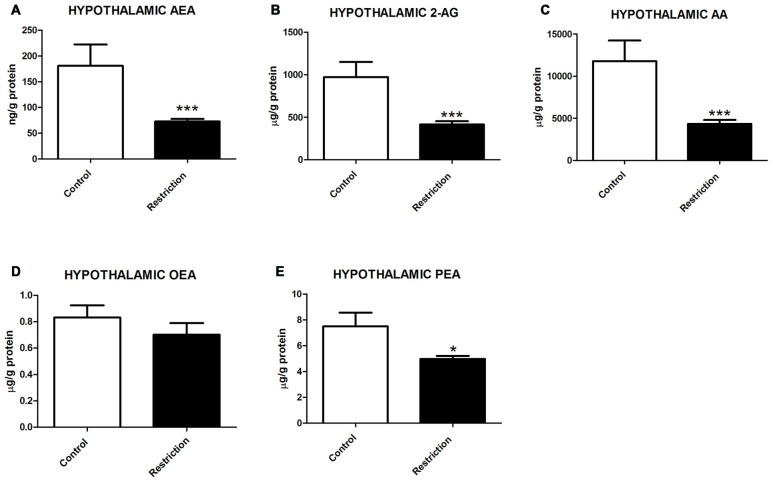 Hypothalamic endocannabinoid and NAE levels in male offspring at birth. (A) Anandamide (AEA), (B) arachidonoylglycerol (2-AG), (C) Arachidonic acid (AA), (D) oleoylethanolamide (OEA), and (E) palmitoylethanolamide (PEA) in the hypothalamus of male offspring from control dams (open bars) and calorie-restricted dams (solid bars) at birth.*p < 0.05, ***p < 0.001.