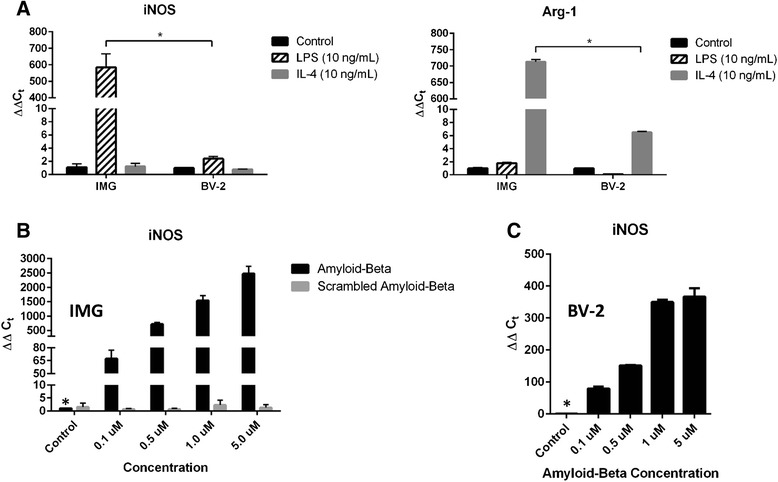 IMG cells are significantly more sensitive to polarization by LPS, Aβ, and IL-4 than are BV-2 cells. a Quantitative PCR was used to analyze the transcript abundance of iNOS and Arg-1 in IMG cells and BV-2 cells treated with or without LPS (10 ng/mL) or IL-4 (10 ng/mL) for 16 h. b, c IMG and BV-2 cells were treated with Aβ1–42 peptide or scrambled Aβ1–42 peptide at varying concentrations as indicated for 6 h. The transcript abundance of iNOS was determined via qPCR. One-way (b) and two-way (a) ANOVA statistical analyses were used to determine the significance of the data. *P < 0.0001. Data are represented as means ± s.d. (n = 3, technical replicates). Each experiment was repeated in triplicate