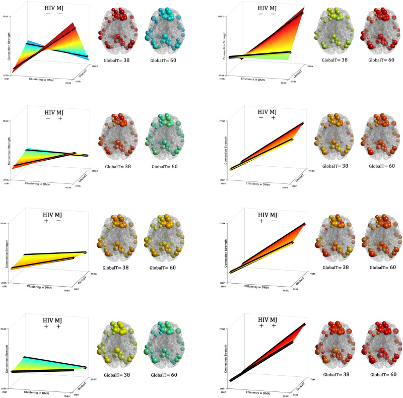 Visualization of the implied DMN organization for the same GlobalT across different groups. Solid lines on each surface plot show the relationship between the connection strength − clustering (A) and strength − efficiency (B) for two unique GlobalT values (38 and 60). Group representative networks are shown for individuals with low (38) and high (60) GlobalT for each group. As this figure shows, with respect to both clustering and efficiency, brain networks of people with lower GlobalT and with HIV, MJ, or particularly both, resemble networks with higher GlobalT in the control group. This could imply compensation in the DMN as detailed in the Discussion section. Nodes in these networks are colored by the slopes and sized by their actual clustering (A) and efficiency (B). Please see the Supporting Information for more details about generating the group representative networks from the obtained slopes for each group.