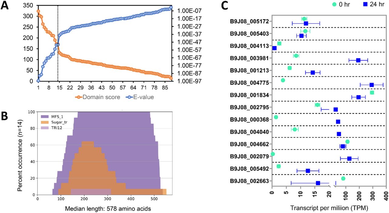 Identification of DHA1 transporters in Candida auris.(A) Plot of E-value and domain score of the sequences above the inclusion threshold value obtained after running the “hmmsearch” function with the C. auris proteome. (B) Distribution of PFAM domains in the identified DHA1 protein sequences as predicted using DomainViz. (C) Expression status of all the identified DHA1 transporter encoding genes is represented as Transcript per million (TPM). The data is obtained from the FungiDB database which reports the expression data from Kean et al. (Kean et al., 2018). The data depicts gene expression changes in the clinical isolate NCPF8973 between 0 hr planktonic and 24hr biofilm stages.