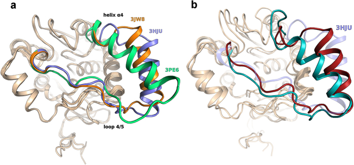 Comparison of available crystal structures, characterized by different lid domain conformations (a). 3HJU (light blue cartoon) is characterized by a widely open lid-domain conformation, while in 3PE6 (green cartoon) a rotational movement of helix α4 determines the closure of the active site access channel. The crystal structure 3JW8 (orange cartoon) reveals an intermediate conformation. (b) Comparison of two representative final conformations from 60-ns MD simulations of MGL in water (dark green cartoon) and in the presence of a membrane model (dark red cartoon), starting from the conformation of the crystal structure 3HJU (light blue cartoon).