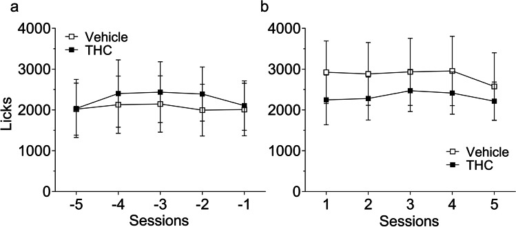 Total number of licks after SID acquisition and maintenance. Total number of licks (mean ± SEM) for vehicle (white squares, n = 9) or THC pre-treated animals (black squares, n = 9) during the last five acquisition sessions, established as the baseline to transform the data in acquisition and drug test phases (a), and during the five sessions conducted before extinction used as the baseline to transform the data of this phase (b)