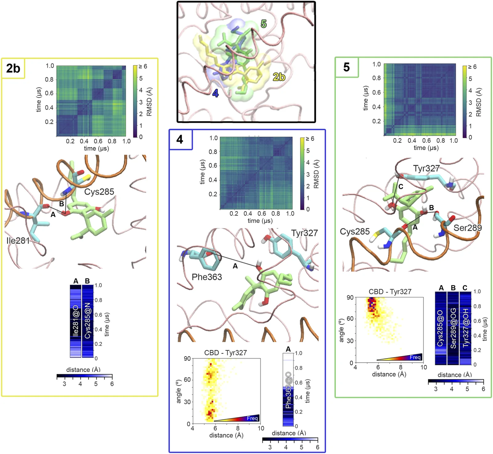 Scientific figure comparing three molecular conformations labeled 2b, 4, and 5, each highlighted and color-coded in yellow, blue, and green. Each panel includes a molecular structure with key amino acids annotated, 2D heatmaps showing RMSD over time, and graphs analyzing spatial features such as distances and angles. The central image overlays all three conformations within a protein context, showing their spatial relationship.