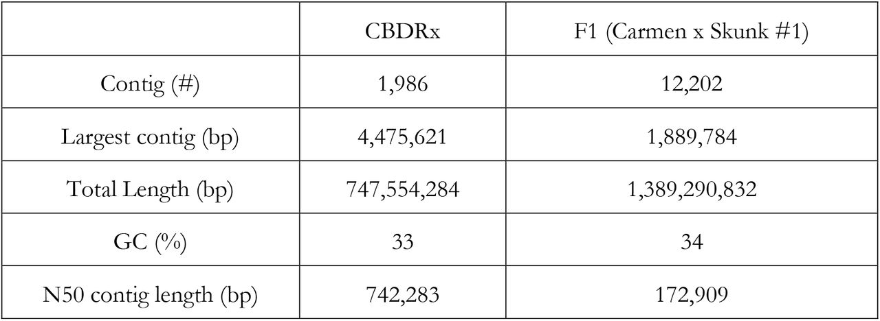 CBDRx and F1 genome assembly statistics.