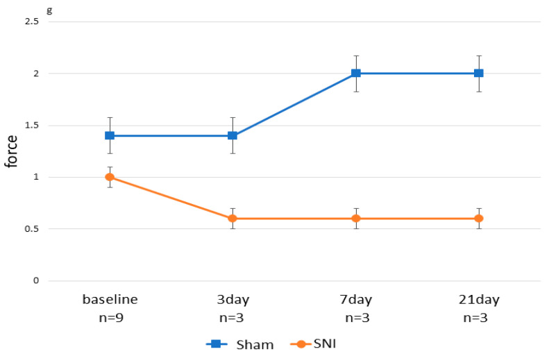 Time series results of the von Frey behavior test. The vertical axis represents the minimum force (g) at which mice responded positively in behavioral tests. The baseline is the value of behavioral tests before SNI or Sham treatment. Behavioral tests on Days 3, 7, and 21 were performed before the sacrifice, respectively.