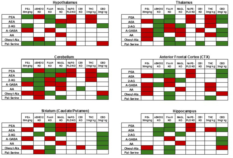 Comparisons of levels of selected CNS lipids in KO models and cannabinoid treatments to current PEA injection. As described in the Discussion, these comparisons are generated from previous reports (see references in text). Here, green indicates significant increases and red indicates significant decreases. In each case, the relative differences are either to baseline WT or vehicle depending on the study. Data from the current study of acute 30 mg PEA/kg is in the far-left column in each table. Tables are separated by CNS areas and the specific area is represented as a label at the top of each table.