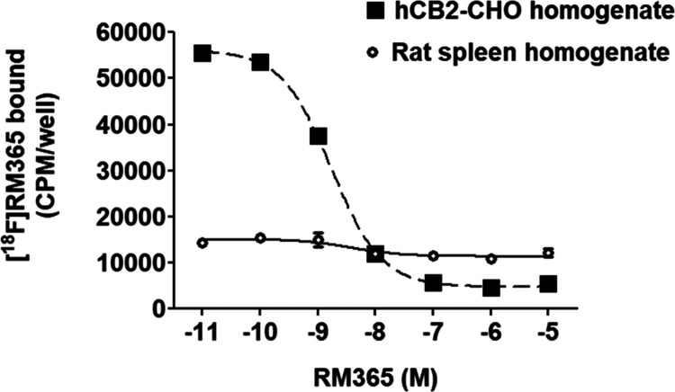 Determination of the equilibrium dissociation constant KD of [18F]RM365 in vitro. A homologous competition binding experiment was performed by incubating membrane preparations obtained from CHO cells stably transfected with the human CB2R or from the spleen of a female SPRD rat, expressing high levels of CB2R in leukocytes under physiological conditions with 0.078 nM [18F]RM365 and increasing concentrations of RM365. Data are obtained from a single experiment performed in triplicate to give IC50,hCB2R 2.40 nM (CI95%: 1.09–5.26 nM) and KD,hCB2R 2.32 nM by the simplified Cheng–Prusoff equation KD = IC50 – concentration radioligand.