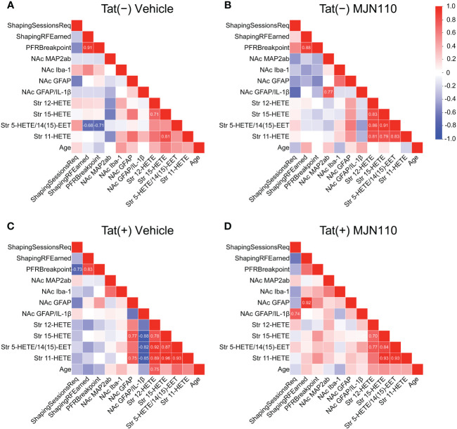 Correlation matrices of quantified variables across groups. Association patterns between behavior, nucleus accumbens MAP2ab+ dendritic intensity, microglia density, astrocyte density, astrocytic IL-1β colocalization, and striatal inflammatory lipid mediator expression differ between subgroups. Among other distinctions, predictors of PFR breakpoint varied between genotype and treatment groups. Additionally, vehicle-treated Tat(+) subjects (C) show stronger associations between astrocyte density and proinflammatory lipid mediator expression relative to the other groups, vehicle-treated Tat(−) mice (A), MJN110-treated Tat(−) subjects (B), and MJN110-treated Tat(+) mice (D). Pearson’s correlation coefficients (r) are indicated for significant values at p ≤ 0.05. NAc, nucleus accumbens.