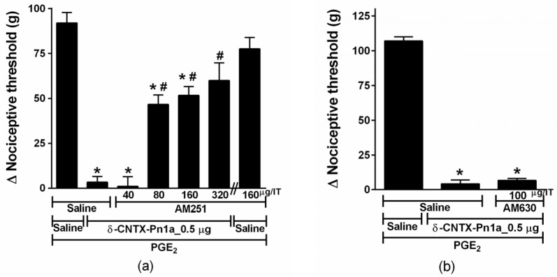 Effect of cannabinoid antagonists on δ-CNTX-Pn1a antinociception following prostaglandin E2-induced hyperalgesia. Rats received AM251 (a) or AM630 (b) through intrathecal route 2 h and 45 min after prostaglandin E2 (PGE2) injection (2 µg/paw). δ-CNTX-Pn1a, 0.5 μg (0.1 nmol), or saline (control) were intrathecally injected 10 min after the antagonists. Nociceptive threshold was measured 5 min after peptide or saline injection. Vertical bars represent MEAN ± SEM. n = 4 rats per group. Data were analyzed using ANOVA and Bonferroni post-test. p < 0.05 compared to PGE2 + Saline (*) or PGE2 + δ-CNTX-Pn1a + Saline (#).