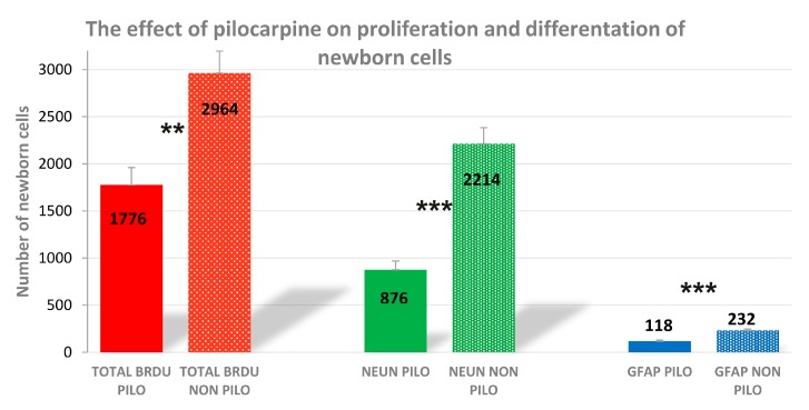 The numbers of cells represent an estimate of the total number of positively labeled cells in the subgranular zone in both hemispheres. The results were analyzed using Student’s t-test. Each bar represents the mean for five mice; error bars are the standard error of the mean (S.E.M., ** p < 0.01; *** p < 0.001).