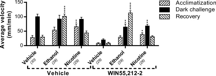 The effect of ethanol and nicotine on locomotion of WIN55,212-2-treated larvae. Administration of ethanol (1% v/v) and nicotine (10 μM) to WIN55,212-2-pre-treated (125 nM) larvae increases the locomotion in both the light and dark phases, indicating that the immobility induced by the Cnr1 agonist is not due to a physical limitation. Group sizes are reported in parentheses. Data shown are means ± SEM. Significant differences compared to the corresponding phase of the vehicle/vehicle or WIN55,212-2/vehicle-treated control group are indicated. *P ≤ 0.05; **P ≤ 0.01; ****P ≤ 0.0001