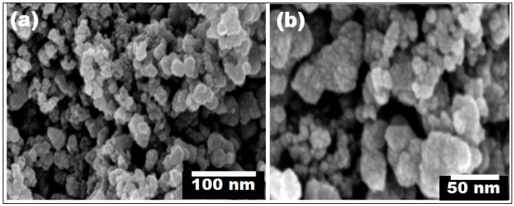 (a,b) SEM images of the green synthesized CS-TiO2 NPs at two different magnifications.