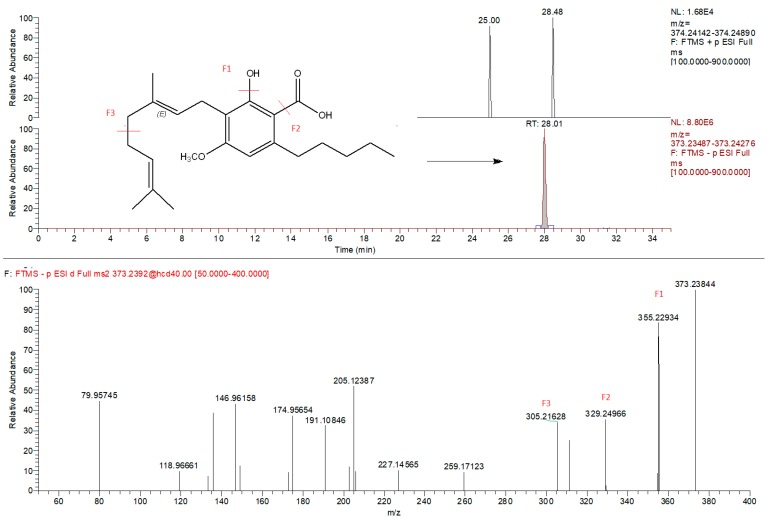 Extracted ion chromatogram (m/z = 373.2384) of CBGMA (cannabigerolic acid methyl ester) and corresponding MS/MS spectra identified exclusively in negative mode.