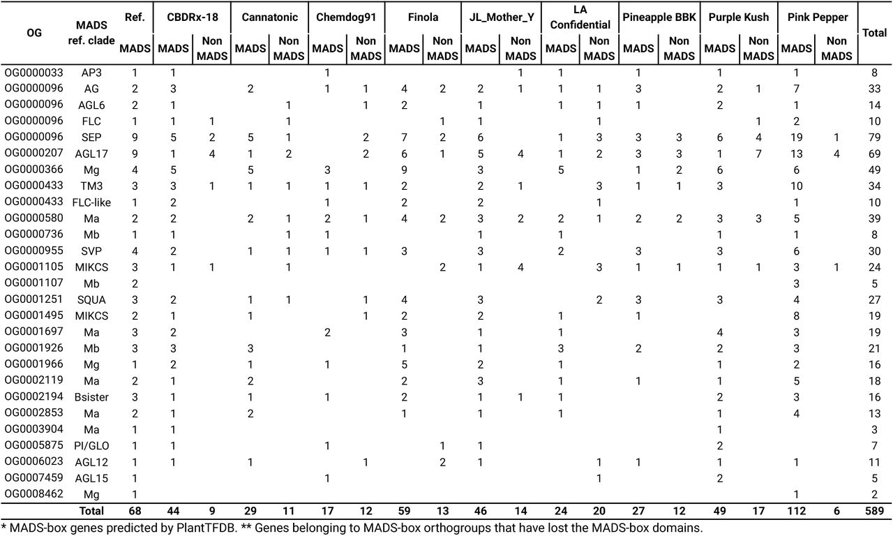 Number of MADS-box* and Non-MADS** genes in each reference clade of