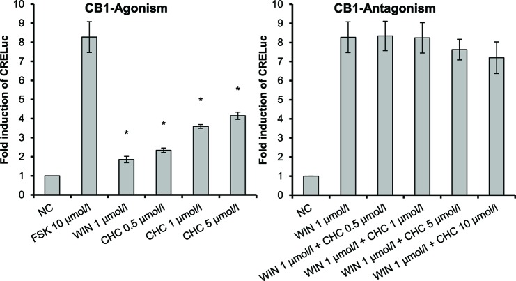 CB1-receptor-mediated agonistic effect of CHC (4) given as fold induction of CRE-luc; CB, cannabinoid; CHC, cyclohexyl cannabidiolate, NC; negative control, FSK: forskolin; WIN, WIN 55212-2; error bars represent SEM, *p < 0.1.