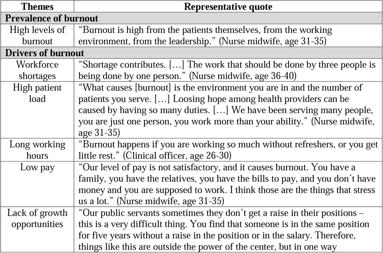 In-depth interview emerging themes