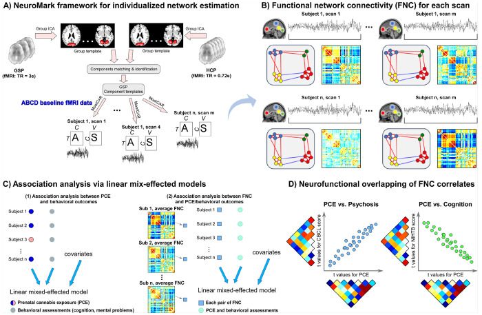 Flowchart for functional network connectivity (FNC) analysis of prenatal cannabis exposure (PCE) and offspring outcomes.A) The NeuroMark framework is applied to extract robust and spatially comparable intrinsic connectivity networks (ICNs) and their corresponding time courses (TCs) from the Adolescent Brain Cognitive Development (ABCD) dataset. B) FNC matrices are computed from the temporal correlations among ICN TCs for each scan, and subject-level FNC profiles were derived by averaging across within-subject scans. C)Linear mixed-effects models (LMMs) are used to assess associations between PCE and offspring behavioral measures, as well as between individual FNC pairs, PCE, and behavioral outcomes. D) To identify shared neurofunctional substrates, t-statistic maps from the FNC–PCE and FNC–behavioral models are correlated, quantifying the degree of overlapping brain network alterations linking PCE to offspring cognitive and mental health outcomes.