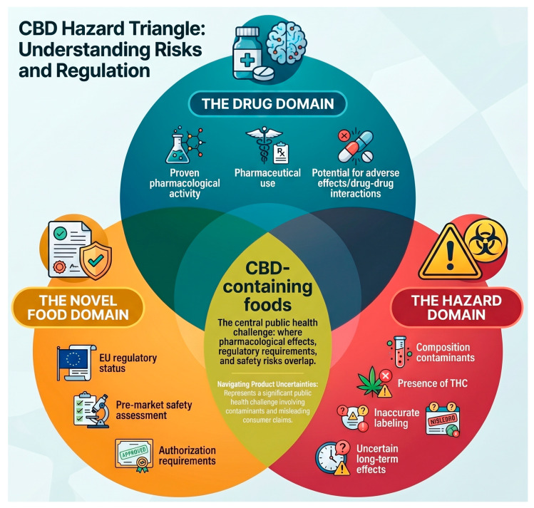 CBD Hazard Triangle. CBD-containing foods occupy the intersection of three domains: Drug (pharmacological activity and potential for interaction), Novel Food (regulatory status requiring authorization and safety assessment), and Hazard (food safety concerns related to composition, contaminants, THC co-occurrence, labelling inaccuracies, and uncertain long-term effects).