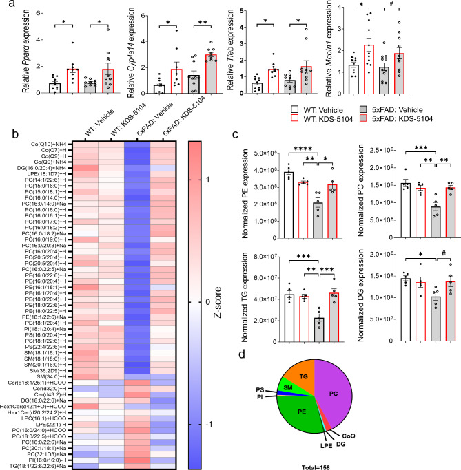 Reversed lipid dysregulation in 5xFAD mice with KDS-5104 treatment. (a) qPCR analysis of Ppara, Cyp4a14, Tfeb and Mcoln1 in 4-month-old WT and 5xFAD mice treated with vehicle or KDS-5104 for 2 months (n = 9/group). (b) Heatmap representing z scores of top 55 dysregulated lipid species in 5xFAD mice identified by lipidomic analysis of 4-month-old WT and 5xFAD mice treated with vehicle or KDS-5104. (c) Normalized levels of the lipid species per lipid class (n = 5 mice/group). PE: phosphatidylethanolamine, PC: phosphatidycholine, PS: phosphatidylserine, DG: diglycerides, and TG: trigylcerides (TG). (d) Pie chart depicting the classes of the 156 lipids identified that are dysregulated in 5xFAD mice compared to WT and rescued with KDS-5104 treatment. CoQ: Coenzyme Q10, LPE: Lysophosphatidylethanolamine, SM: Sphingomyelin, and PI: Phosphatidylinositol. For all panels, data are presented as mean ± SEM. #p = 0.2 in (a) and 0.1 in (c), *p < 0.05, **p < 0.01, ***p < 0.001, ****p < 0.0001. One way ANOVA with Tukey’s multiple comparisons tests as the post hoc analysis