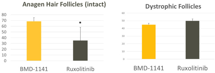 Hair Follicle Counts. C3H/HeJ mice were engrafted with full-thickness skin from mice with alopecia areata. After the development of alopecia, the mice were treated with either a single subcutaneous dose of BMD-1141 (at various doses) or daily oral ruxolinitib. After 8 weeks, the animals were sacrificed, and dorsal skin was harvested and sectioned at 7 µm thickness. Hematoxylin and eosin (H&E)-stained sections were prepared, and follicles were classified as dystrophic anagen, normal anagen, or unknown. The average hair follicle counts are compared between a pool of animals treated with any dose of BMD-1141 vs. ruxolitinib (* p < 0.05 by Student’s t-test).