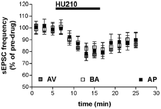 Responses of striatal neurons of avoiding (AV), balancing (BA), and approaching (AP) animals.The graph shows that the sEPSC frequency reduction induced by cannabinoid CB1 receptor agonist HU210 was analogous in the AV, BA, and AP animals.