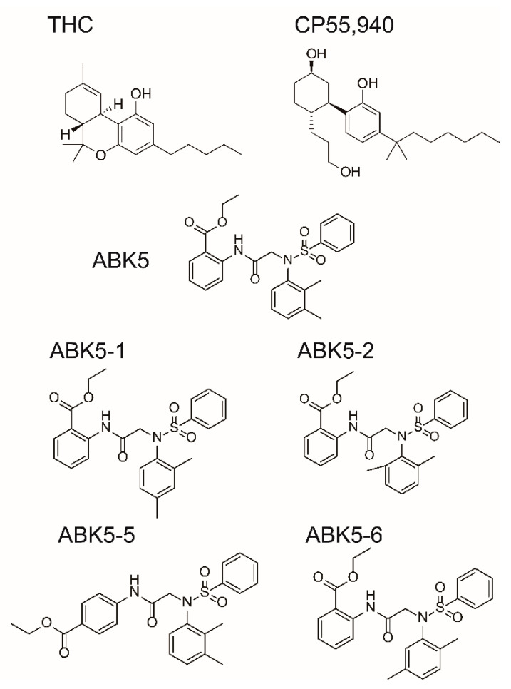 Chemical structures of some compounds that bind cannabinoid CB1 or CB2 receptors. Δ9-tetrahydrocannabinol (THC) and CP55,940 are agonists that bind both CB1 and CB2. ABK5-1, ABK5-2, ABK5-5, and ABK5-6 are examined in this study.