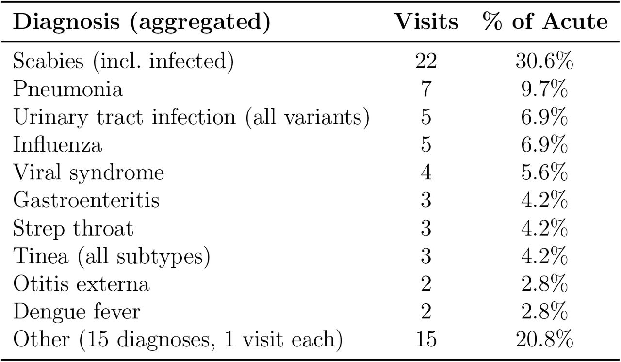Acute encounter distribution by aggregated diagnosis. Scabies accounted for 30.6% of acute visits, reflecting the epidemiological context of an industrial worker population. The top five diagnoses covered 59.7% of acute encounters.
