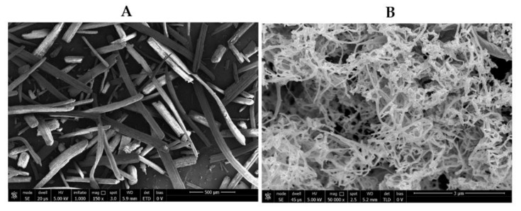 SEM images of both grinded egagropili fibers (A) and egagropili nanocrystalline cellulose (B).