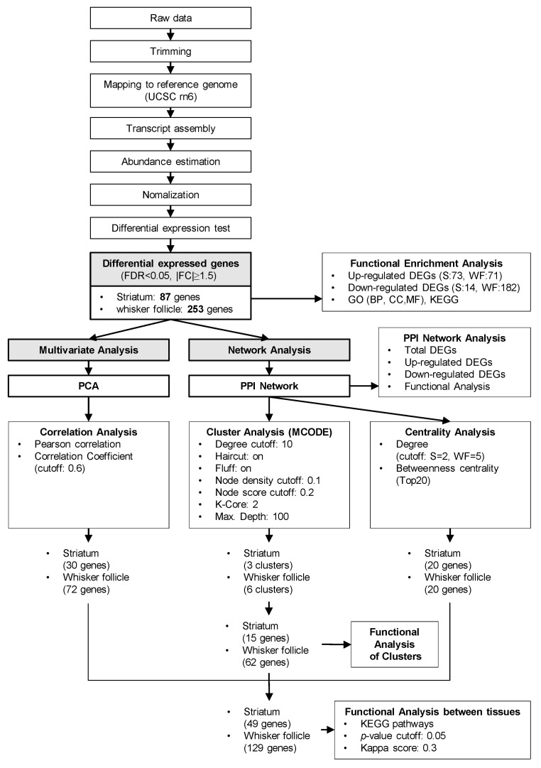 The workflow of computational analysis of the RNA sequencing (RNA-seq) data. A workflow diagram for the quality control and differential gene expression analysis of the RNA-seq data from the striatum or from the whisker follicle of MA self-administered rats.