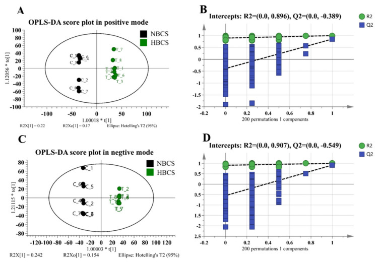 (A,C) Orthogonal partial least squares discriminant analysis (OPLS-DA) plot of plasma of cows with different calving body condition score in the positive and negative ion mode, respectively. (B,D) permutation test plots of plasma of cows with different calving body condition score in the positive and negative ion mode, respectively.