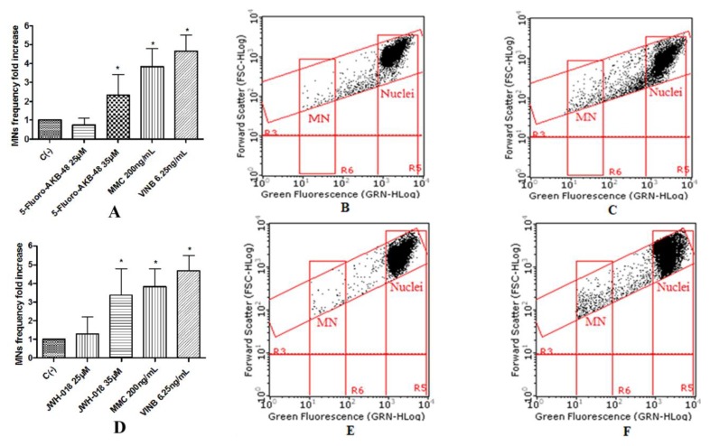 MN’s frequency fold increase on TK6 cells after 26 h treatment with 5F-AKB-48 (A) and JWH-018 (D) at the indicated concentrations with respect to the untreated negative control [C (-)] and to positive controls [MMC and VINB], plot of nuclei and micronuclei in untreated control (B,E) and in 35 µM treated (C,F). Data were analyzed using repeated ANOVA followed by Bonferroni post-test. * p < 0.05 versus C (-).