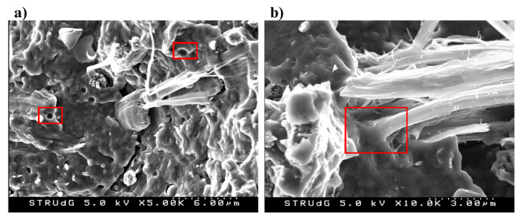 Scanning electron microscopy (SEM) images of the fracture surfaces of the 20 wt % BHF-reinforced PA6 composites. (a) voids in the structure of the composite PA6-Hemp fibers; (b) interface between fibers and matrix.
