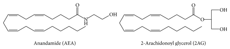 Structures of AEA and 2-AG glycerol, the two best known endocannabinoids.