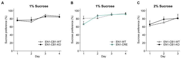 CB1 deletion in EN1-positive cells did not affect anhedonia. EN1-CB1-KO mice (n = 14) and EN1-CB1-WT littermates (n = 11), at the age of 13–17 weeks, showed a strong preference for sucrose (1%) within 4 days of testing without a difference between genotypes (A). Although EN1-CRE mice (n = 11) displayed a tendency to decreased preference for 1% sucrose on day 1 compared to EN1-WT controls (n = 11), they showed the same preference on the following days (B). A second group of EN1-CB1-KO mice (n = 15) was tested for 3 days with a 2% sucrose solution. No differences between genotypes (EN1-CB1-KO mice and littermates) were observed (C). Data are expressed as mean ± SEM for each group. ANOVA with repeated measures.