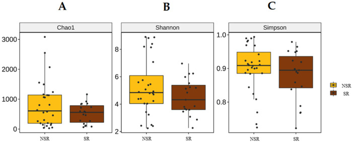 Alpha diversity. (A) Chao1. (B) Shannon. (C) Simpson.