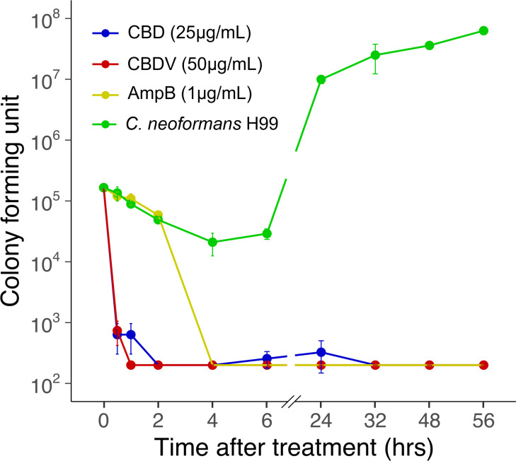 Phytocannabinoids exhibit fungicidal activity against C. neoformans H99.Time-kill assay of C. neoformans H99 cells treated with CBD (shown in blue), CBDV (red), and AmpB (yellow) at 2 × MIC compared to an untreated control (green) over 56 hr. Data are mean ± SD for n = 2 replicates.
