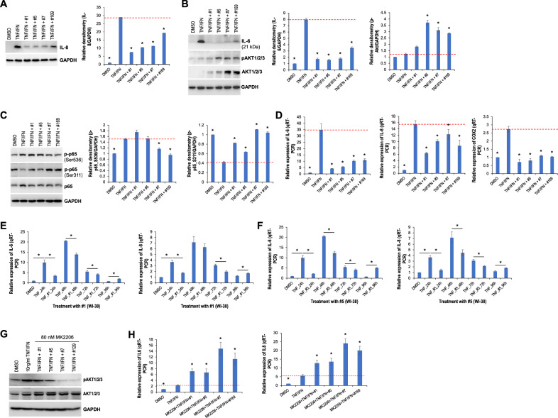 The selected cannabis extracts regulate the expression of proinflammatory cytokines triggered by TNFα/IFNγ and affect signaling pathways.A–C Western blot analysis of the indicated proteins in WI-38 cells treated with either TNFα/IFNγ alone or in combination with the indicated extracts; relative densitometry was measured using ImageJ. D qRT-PCR analysis of IL-6, IL-8, and COX2 in WI-38 cells treated with either TNFα/IFNγ alone or in combination with the indicated extracts. E, F qRT-PCR analysis of IL-6 and IL-8 in WI-38 cells treated with either TNFα/IFNγ alone or in combination with extract #1 or #5 for the indicated times. G Western blot analysis of pAKT/1/2/3 and AKT1/2/3 in WI-38 cells treated with MK2206 for 2 h prior to the addition of either TNFα/IFNγ or in combination with the indicated extracts. H qRT-PCR analysis of IL-6 and IL-8 in WI-38 cells treated with MK2206 for 2 h prior to the addition of either TNFα/IFNγ or in combination with the indicated extracts. * indicates p < 0.05.