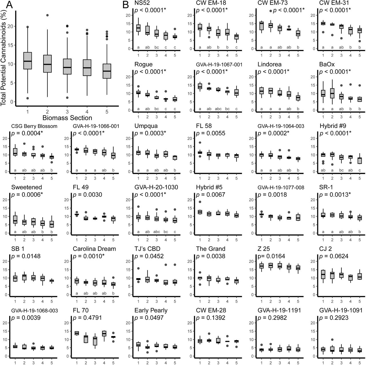 Boxplots showing the distribution of total potential cannabinoid concentration measured in post-harvest stripped biomass samples for plants partitioned into five sections where S1 represents branches derived from the top 5th of the main stem, S2 those from the second to top, etc. (A) Boxplot of all samples from all cultivars. (B) Thirty-two cultivar-level boxplots ordered by the slope of the regression predicting total potential cannabinoids using biomass section. P-values reported are for mixed models predicting total potential cannabinoid concentration where biomass section was a fixed effect and the plot that the sample was from was a random effect. Asterisks indicate a significant effect of biomass section after correcting for multiple testing and letters indicate statistically significant differences between sections of a cultivar based on a post-hoc Tukey’s HSD test.