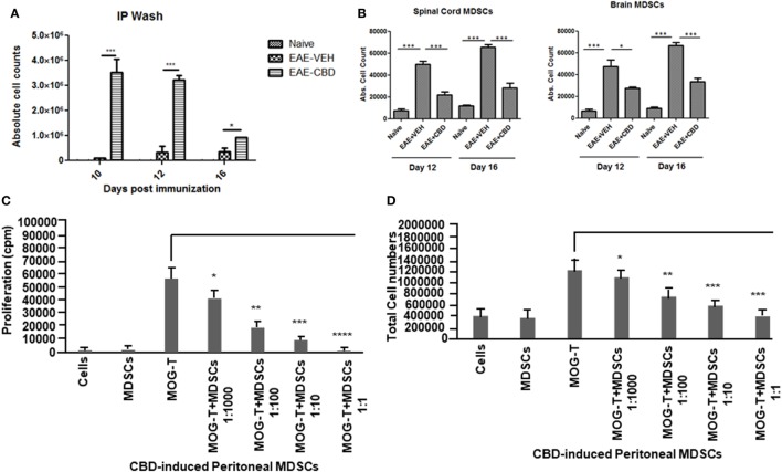 Altered expression profile of myeloid-derived suppressor cells (MDSCs) following cannabidiol (CBD) treatment. Absolute cell counts for MDSC: cells were isolated from intraperitoneal lavage (A), spinal cord and brain (B) on indicated day. Cells were stained with CD11b and Gr-1 (MDSC) then enumerated using total cell count and frequency from flow cytometry. Data represented as mean ± SEM (n = 3–5 per sample). Suppressive function of CBD-induced MDSCs was tested using ex vivo restimulation of experimental autoimmune encephalomyelitis (EAE)-VEH splenocytes in the presence of MOG35–55 (30 μg/mL) for 3 days. Cells were pulsed with thymidine and analyzed using BetaScint Counter and were assessed for proliferation (C) and total viable cell number (D). Data represented as mean ± SEM. ANOVA, ***p < 0.0001, **p < 0.001, and *p < 0.05 with Tukey’s post hoc test.