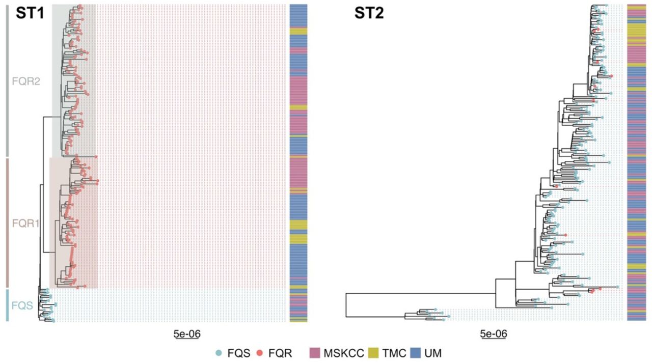Maximum likelihood phylogenetic trees of newly sequenced C. difficile isolates that are ST1 and ST2. Tips are colored by fluroquinolone-resistant (FQR) vs. fluroquinolone-sensitive (FQS) as determined by the presence of previously identified fluroquinolone-resistance-associated gryA and gyrB alleles. Previously identified ST1 lineages (FQS, FQR1, and FQR2) are highlighted, collection site is included in an adjacent heatmap. Tree scales are in single nucleotide changes per quality- and recombination-filtered site.